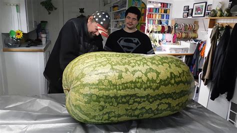 massive melons.com|massive head foam core – Massive Melon